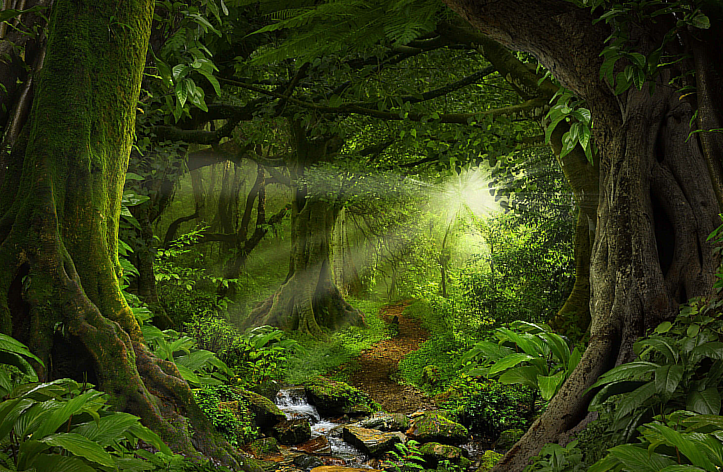 Endangered Animals Quiz